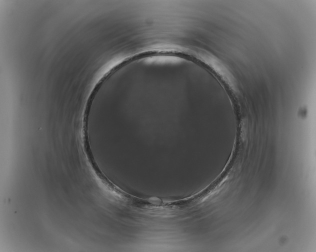 X0000097651229200803142102