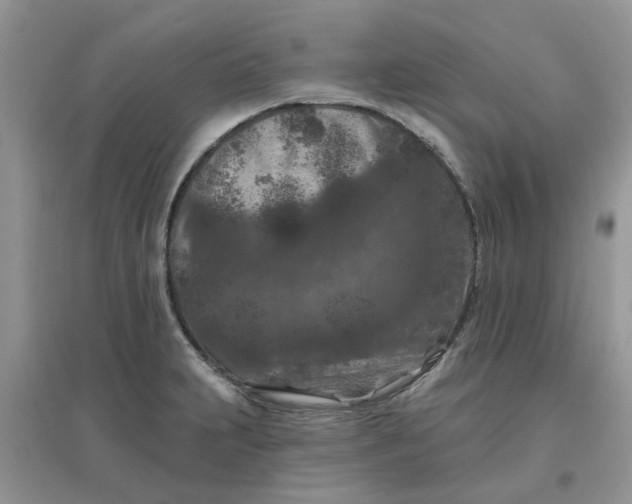 X0000097651231200803142102