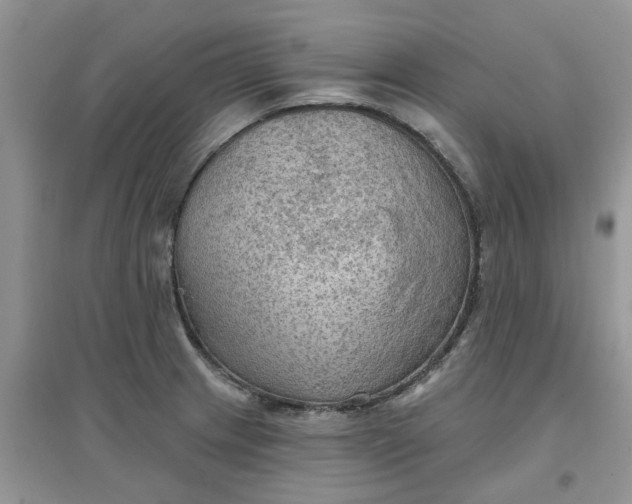 X0000097651233200803142102