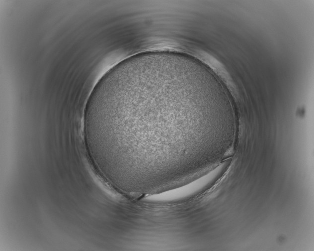 X0000097651234200803142102