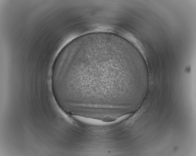 X0000097651235200803142102