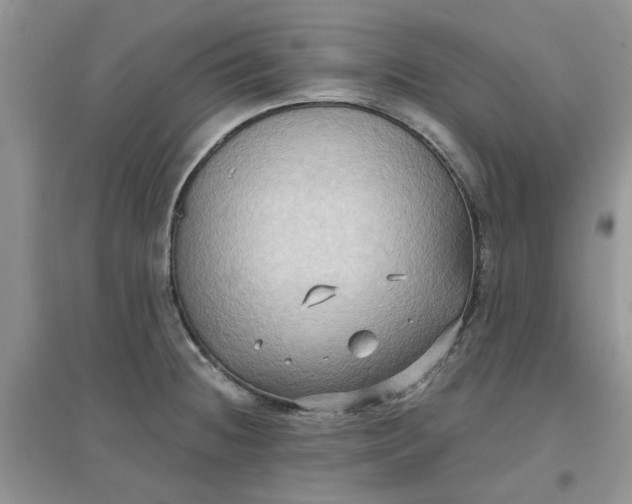 X0000097651236200803142102