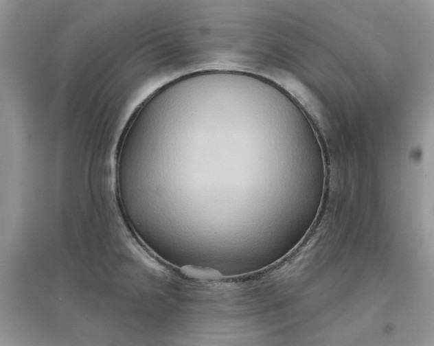 X0000097651238200803142102