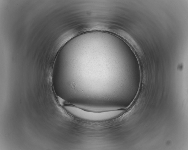 X0000097651241200803142103