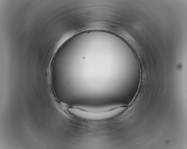 X0000097651242200803142103