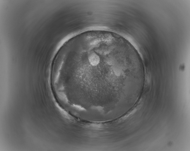 X0000097651245200803142103