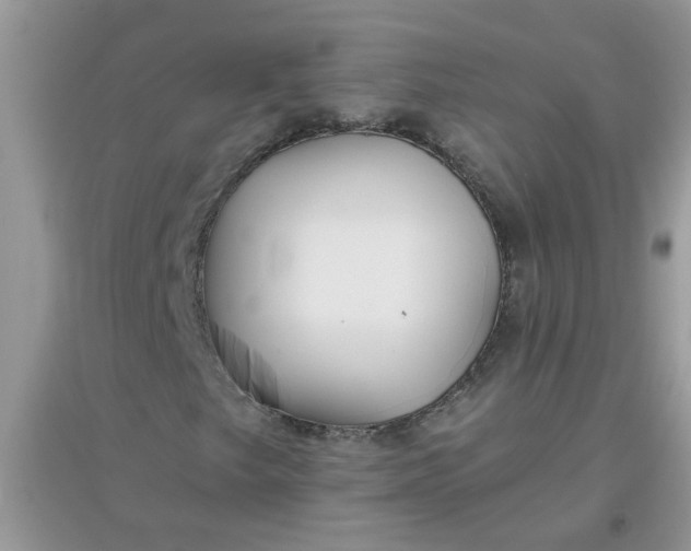 X0000097651249200803142102