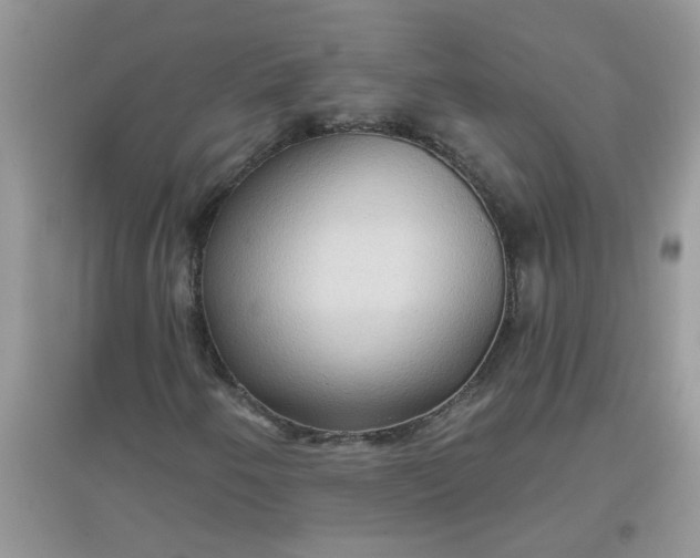 X0000097651250200803142102