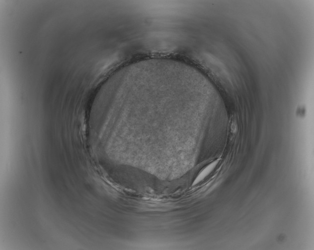 X0000097651252200803142102