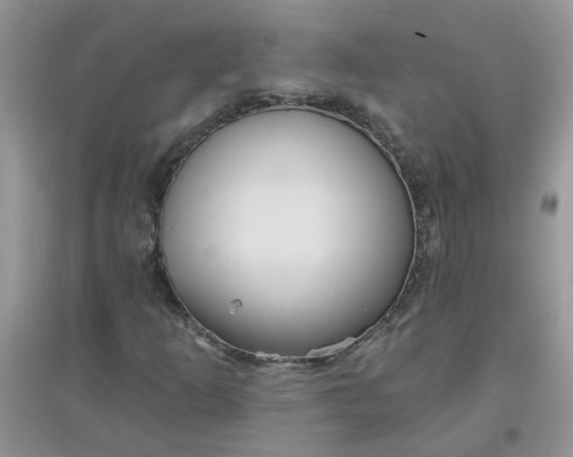 X0000097651253200803142102