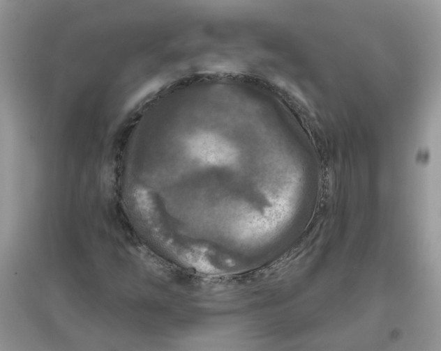 X0000097651254200803142102