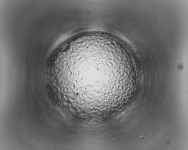 X0000097651255200803142102