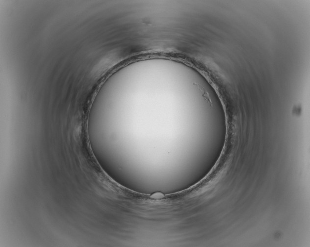 X0000097651257200803142102