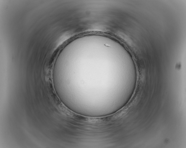 X0000097651258200803142102