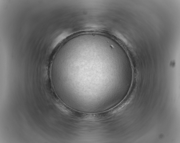 X0000097651259200803142102