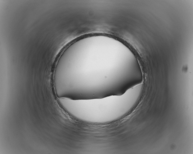 X0000097651260200803142102