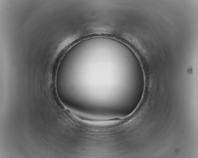 X0000097651261200803142102