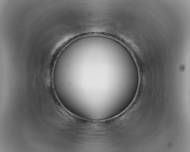 X0000097651262200803142102