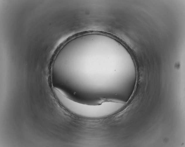 X0000097651264200803142102