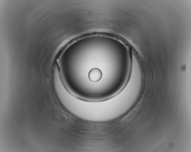 X0000097651266200803142102