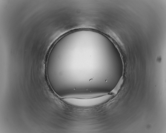 X0000097651268200803142102