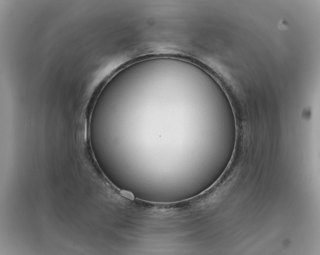 X0000097651269200803142102