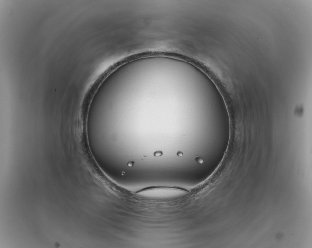 X0000097651270200803142102