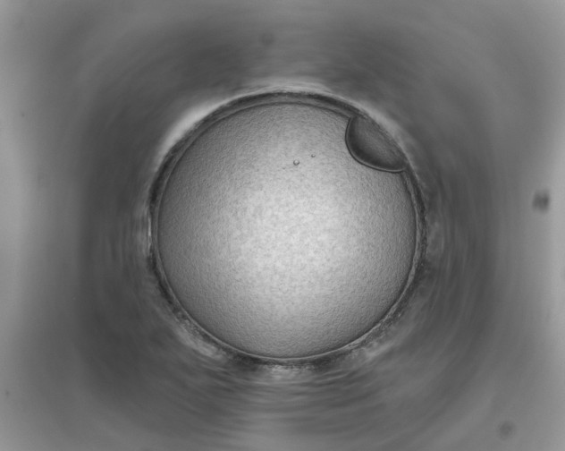 X0000097651271200803142102