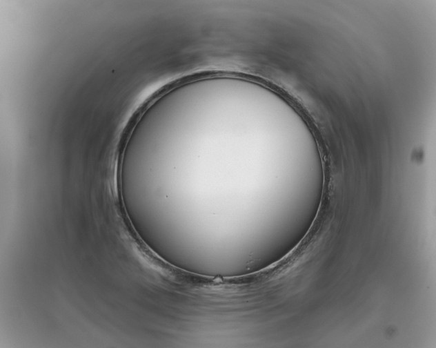 X0000097651272200803142102