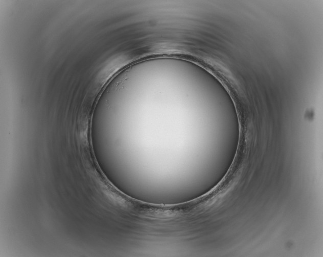 X0000097651273200803142102