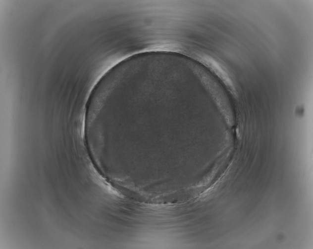 X0000097651276200803142102