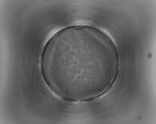 X0000097651277200803142102