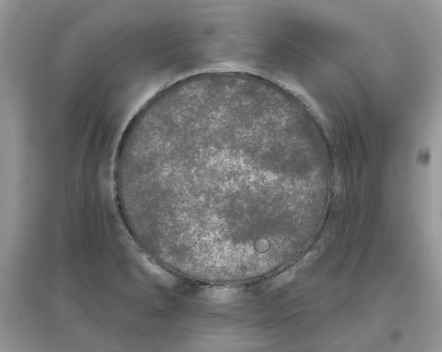 X0000097651278200803142102