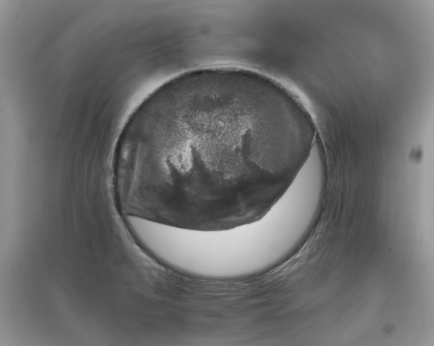 X0000097651279200803142102