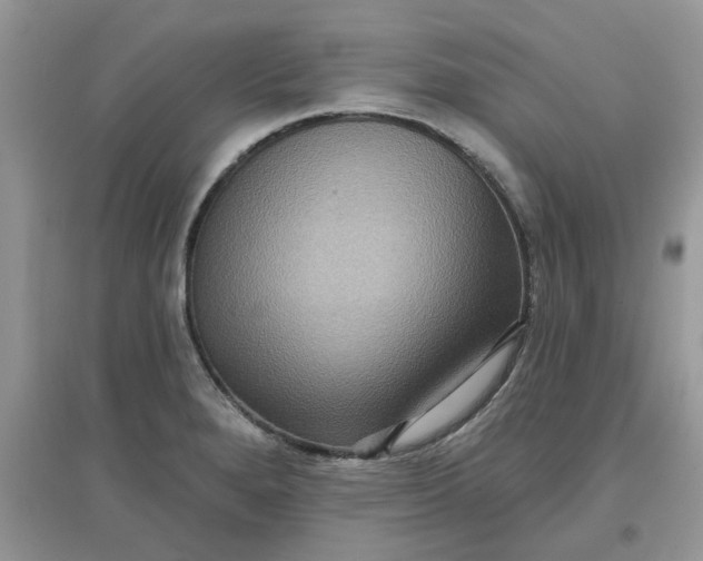 X0000097651280200803142102