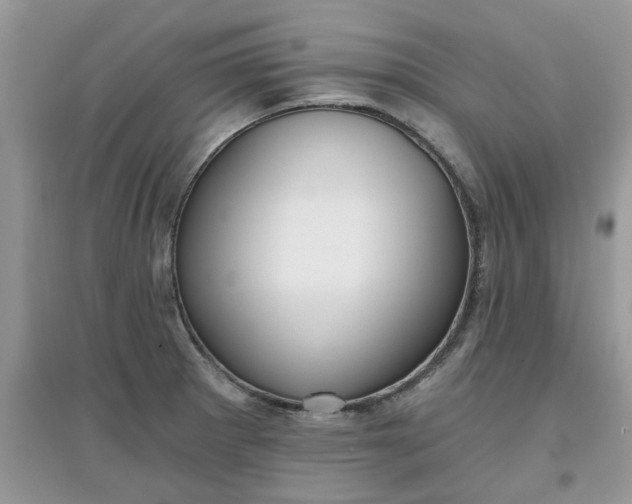 X0000097651281200803142102