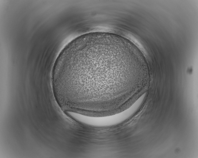 X0000097651283200803142101