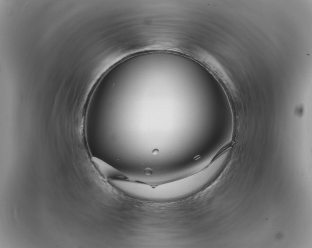 X0000097651284200803142101