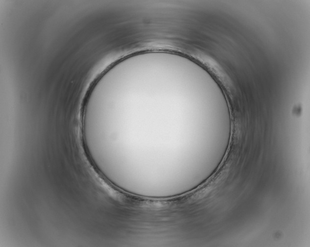 X0000097651286200803142101