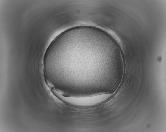 X0000097651287200803142101