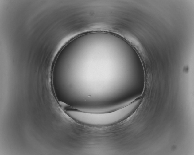 X0000097651288200803142101