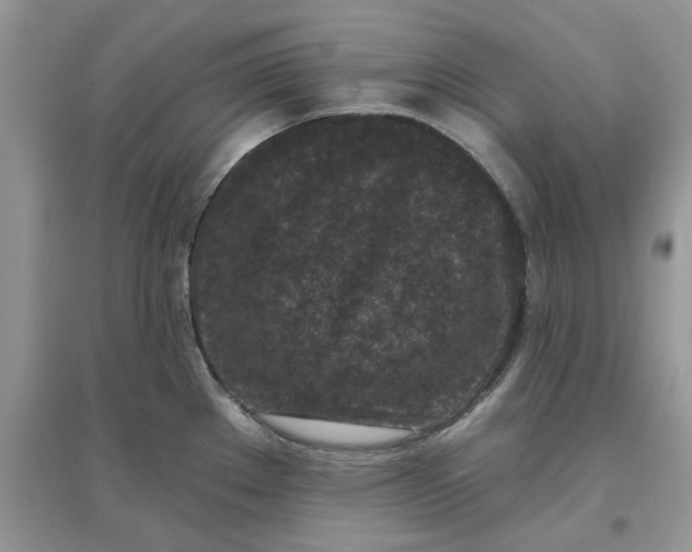 X0000097651289200803142101