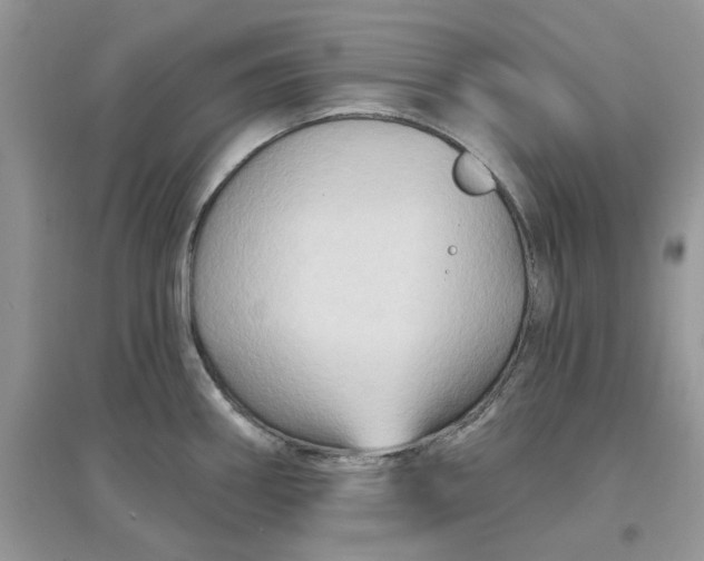 X0000097651290200803142101