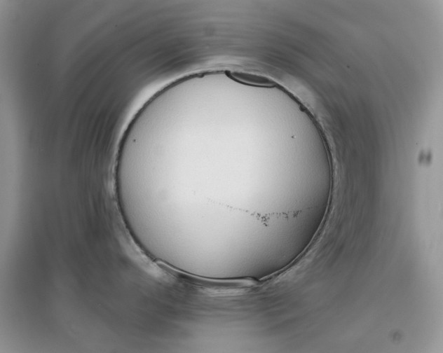 X0000097651296200803142101