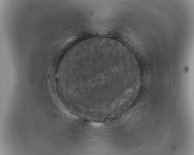 X0000097651297200803142100