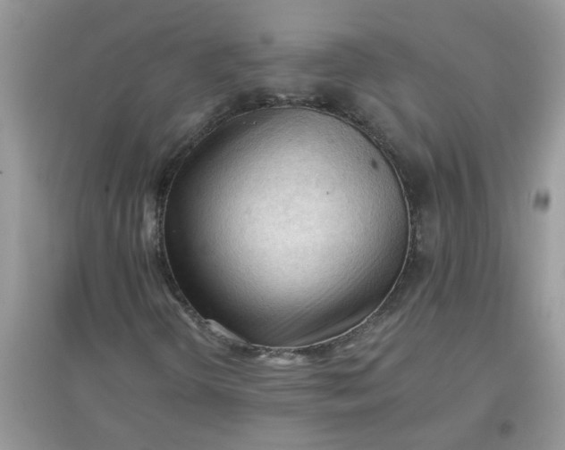 X0000097651298200803142100