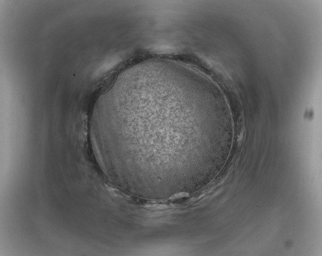 X0000097651301200803142101