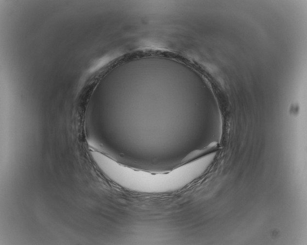 X0000097651303200803142101