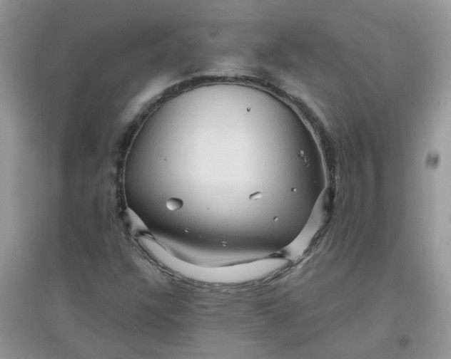 X0000097651304200803142101