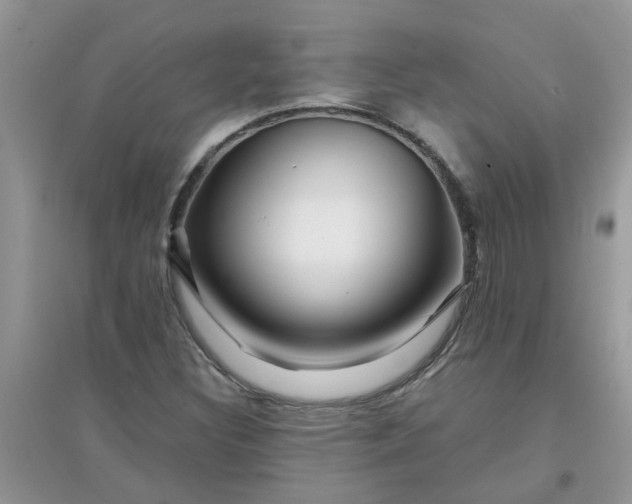 X0000097651308200803142101